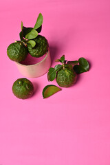 Fresh kaffir lime ( bergamot / citrus hystrix D.C ) isolated on colorful background