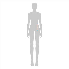 Women to do body rise measurement fashion Illustration for size chart. 7.5 head size girl for site or online shop. Human body infographic template for clothes. 