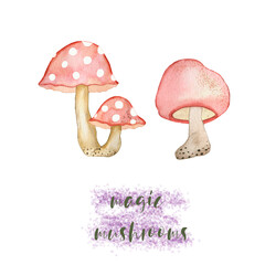Watercolor illustration of a set of red mushrooms. Drawn by hand with watercolors and is suitable for all types of design and printing.