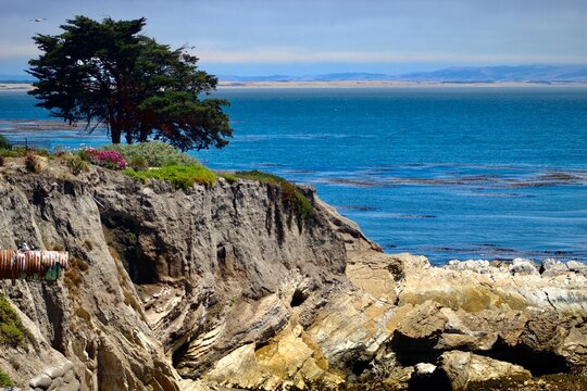 Pismo Beach Shoreline July 2020