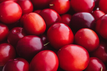 a lot of ripe shiny red cherry plum