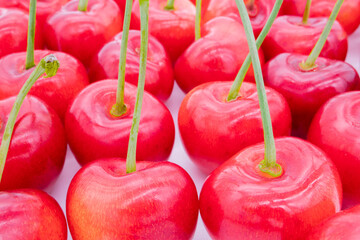 山形県産のブランド さくらんぼ 紅秀峰