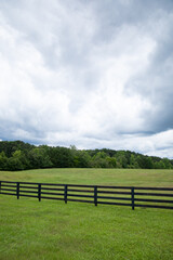 Emerald green meadow with horizon tree line, black rail fence and turbulent clouds, creative copy space, vertical aspect