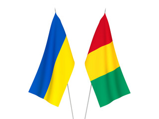 Ukraine and Guinea flags