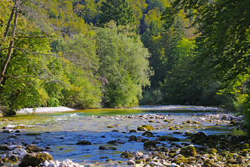 Small mountain river in Slovenia in the mountains.