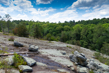 Fototapeta na wymiar Sloping view from atop a large granite monadnock, Panola Mountain, Georgia USA, surrounding forest and blue sky, panoramic horizontal view