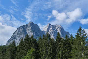 Mountains peaks behind the forest