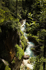 View from the bridge on cold stream in the alps forest in the sunny summer day