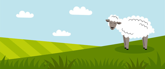 Obraz na płótnie Canvas A cute white sheep stands on a green meadow. Farm animals. Summer panorama with a field. Place for your text. Flat cartoon color illustration