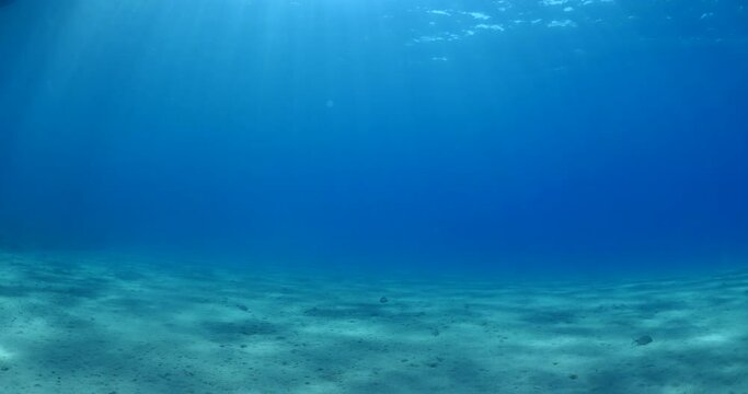 sun shine beams and rays on sea floor underwater slow motion fish around