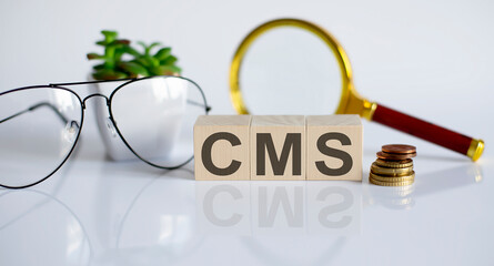 CMS Custom Management System written on a wooden cube on light background
