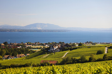 Panoramic view of the village of Féchy in Switzerland