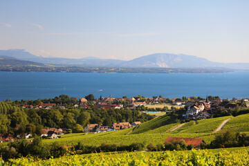 Rolle et Perroy vu des vignes de Mont-sur-Rolle