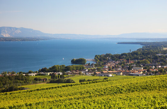 Rolle et le lac L&eacute;man vu de Mont-sur-Rolle