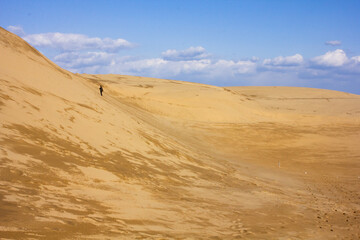 Dunes, sea, snow, winter, 鳥取砂丘, 冬, 日本海