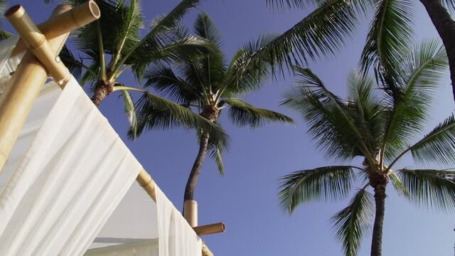 Jewish Chuppah among palm trees during a wedding ceremony in Maui Hawaii. Wedding Arch canopy. 