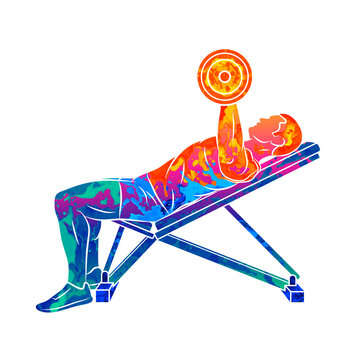 Abstract man training chest with dumbbells on bench press from splash of watercolors. Body Building. Vector illustration of paints