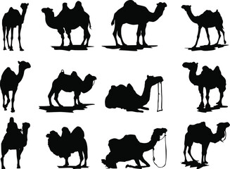 Set of Simple Vector Design of a Camel in Black