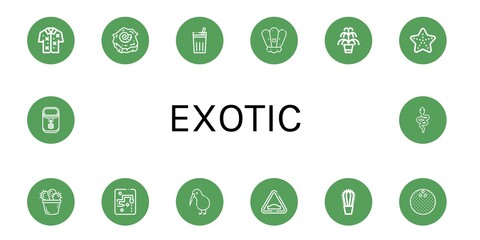 Set of exotic icons
