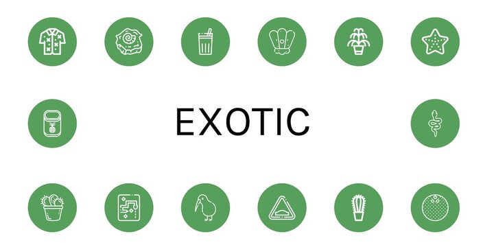 Set of exotic icons