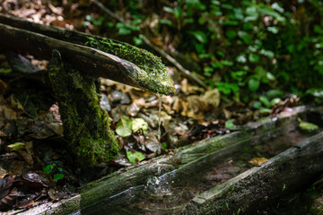 Clean mountain water flowing into a wooden mossy trough