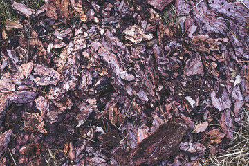 Textured background made of pine cork pieces