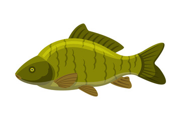 Largemouth Freshwater Fish, Fresh Aquatic Fish Species Cartoon Vector Illustration