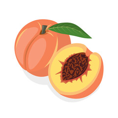 Fresh peach on a white background. Half  peach of delicious sweet fruit. Can be used as emblem, logo, web print, sticker. Vector illustration