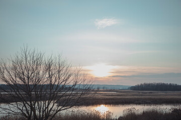 Beautiful landscape with pond, tree silhouette and sun going down