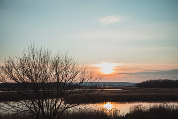 Beautiful landscape with pond, tree silhouette and sun going down