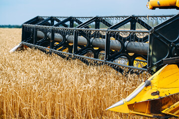 Combine harvester harvests ripe wheat. agriculture.