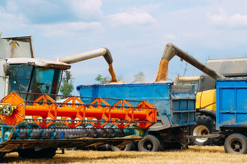 Combine harvester harvests ripe wheat. agriculture.