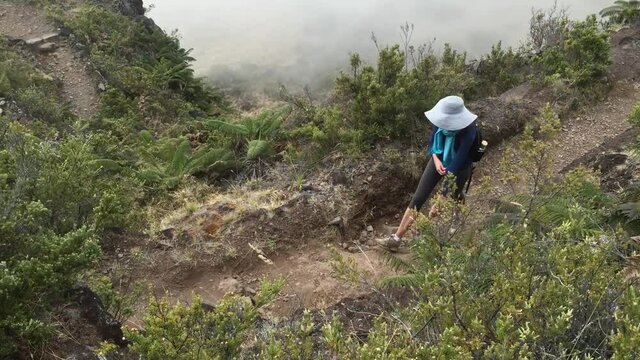 Woman hike on Halemau'u trail in Haleakala national park Maui Hawaii. Foggy dreamy hike in Hawaii. 