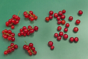 Red currants on green background