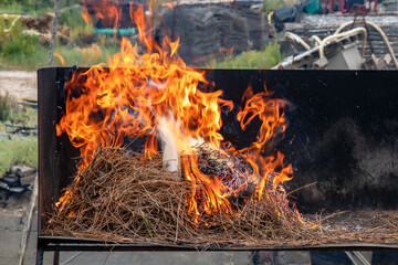 Ile d'Oléron. Aiguilles de pin en feu pour la préparation de l'éclade, plat typique à base de moules, de l'île d'Oléron. Charente-Maritime. Nouvelle-Aquitaine