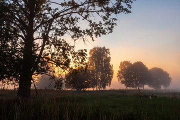 Fototapeta na wymiar Letni poranek z mgłami w Dolinie Narwi, Podlasie, Polska