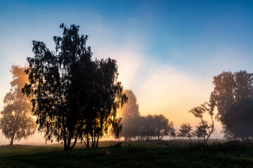 Letni poranek z mgłami w Dolinie Narwi, Podlasie, Polska © podlaski49