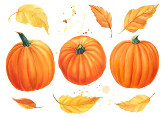 Autumn set of pumpkins, yellow leaves on isolated white background, watercolor illustration clipart