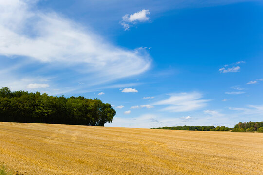 Cette photo a été prise vers Nevers, dans la Nièvre, en Bourgogne, en France, en été, en drone. Elle montre des champs de blé après la moisson et une forêt en arrière plan.