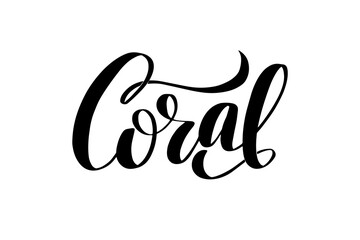 Obraz premium Vector calligraphy illustration isolated on white background.