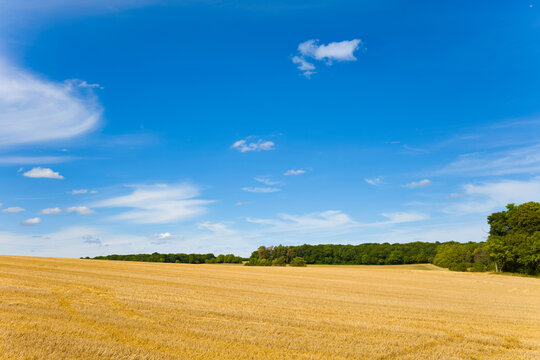 Cette photo a été prise vers Nevers, dans la Nièvre, en Bourgogne, en France, en été, en drone. Elle montre des champs de blé après la moisson et une forêt en arrière plan.
