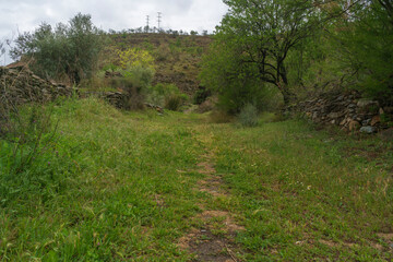 Path to the field