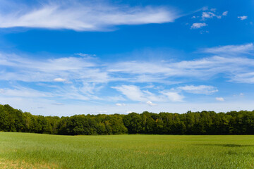 Cette photo a été prise vers Nevers, dans la Nièvre, en Bourgogne, en France, en été, en drone. Elle montre la campagne avec une prairie verdoyante et une forêt en arrière plan.