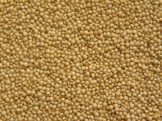 Beige color raw whole Amaranthus seeds
