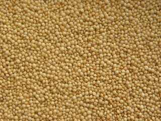 Beige color raw whole Amaranthus seeds