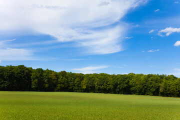 Cette photo a été prise vers Nevers, dans la Nièvre, en Bourgogne, en France, en été, en drone. Elle montre la campagne avec une prairie verdoyante et une forêt en arrière plan.