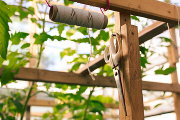 a garden scissors and jute thread