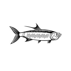 Atlantic Tarpon Megalops Atlanticus or Silver King Side View Retro Black and White