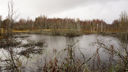 morning on the river