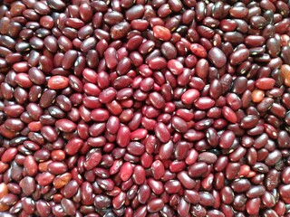 Red raw whole Rajma kidney beans